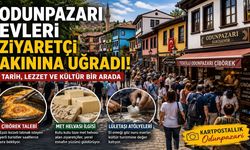 Eskişehir Odunpazarı Evleri Ziyaretçi Akınına Uğradı