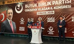 Destici’den Sert Sözler: “Bu Yıl Başıboş Köpek Yılı Mı?”