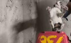 İtfaiyeden Yürek Isıtan Kurtarma Operasyonu