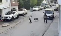 Köpeğin Korkuttuğu Çocuk Kameraya Yansıdı