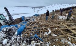 Kar Ağırlığı Ağılı Çökertti, 6 Koyun Telef Oldu