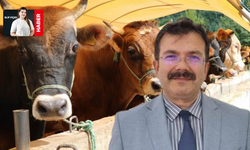 Kurban kesiminde nelere dikkat edilmeli? Müftü yardımcısı açıkladı