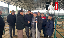 Kurban Pazarında Sessizlik: Satıcı da Alıcı da Dertli