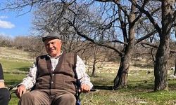 Eskişehir’de Yıldırım Çarpan Çoban Hayatını Kaybetti