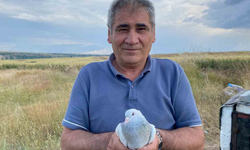 43 Yıllık Güvercin Tutkusu İlk Günkü Gibi Sürüyor
