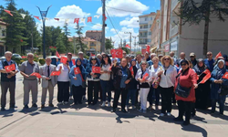 Avdan Okulu Mezunları Pilav Gününde Buluştu