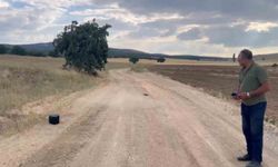 Doğumu Yaklaşan İnek İçin Dron Seferberliği