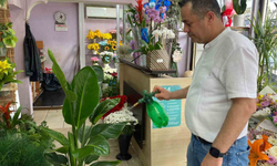 Eskişehirli Çiçekçiden Yaz İçin Bitki Bakım Tavsiyesi