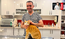 Eskişehir'de İlk Kez Yapılan Tedaviyle Kedi Bodhi Sağlığına Kavuştu