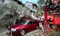 Eskişehir'de Otomobilin Üzerine Ağaç Dalı Düştü