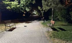Eskişehir’de parkta içki şişeli kavga: 3 yaralı