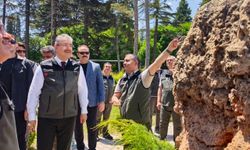 Vali Yılmaz Eskişehir Fidanlığında İncelemelerde Bulundu