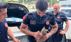 İtfaiye, Arabanın Motor Bölümüne Sıkışan Kediyi Kurtardı