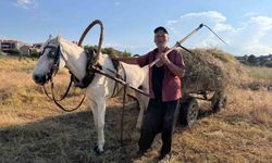 Kanseri Yenen 70 Yaşındaki Ahmet Amca Doğayla Hayata Tutundu