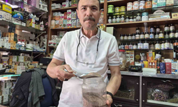 Karnıyarık Otu Tohumuna İlgi Artıyor