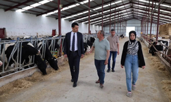 Kaymakam Kantilav HAYKOOP Çiftliğini Ziyaret Etti
