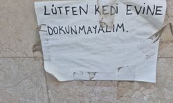 Kediler İçin Yaptığı Evlerle Mahallelinin Vicdanına Seslendi
