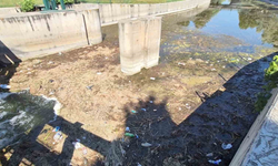 Kentpark Mevkiinde Porsuk Alarm Veriyor