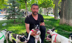"Köpeklerim Ayrılmasın" Dedi: Çağrısı Karşılık Buldu