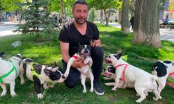 “Köpeklerim Ayrılmasın” Diyerek Destek İstedi