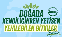Odunpazarı'nda "Doğayı Tanı, Bilinçle Keşfet" Başlıyor