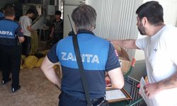 Odunpazarı’nda Ruhsatsız Gıda İşletmesi Mühürlendi