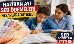 Haziran Ayı SED Ödemeleri Hesaplara Yatırıldı! 1,83 Milyar TL Destek Verildi
