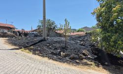Eskişehir'de Otluk Alan Yangını Mahalleliyi Korkuttu