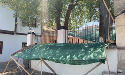 Ak Cami Bahçesindeki Dut Ağacına Fileli Çözüm