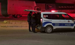 Eskişehir'de Annesini Bıçakla Kovalayan Şahıs Gözaltında