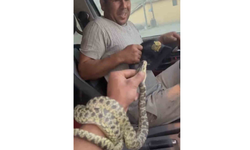 Eskişehir'de Bir Vatandaş Eline Aldığı Yılanla Çevredekilerle Şakalaştı