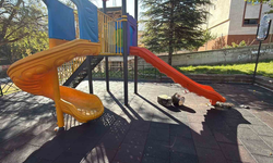 Eskişehir'de Çocuk Parkındaki Kaydıraklara Yanık Yağ Döküldü