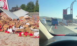 Eskişehir'de tavuk yüklü tır akaryakıt istasyonuna daldı