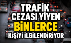 Trafik cezasında emsal karar