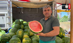 Karpuz Alırken Bu Detaylara Dikkat Edin