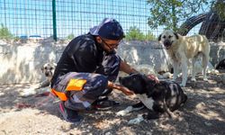 Kıravdan'daki Doğal Yaşam Alanının 3. Etabı Açıldı