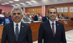 Odunpazarı Meclisi'nde 2 Temmuz Madımak Olayı Anıldı