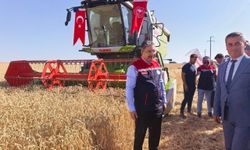 Sivrihisar'da Hasat Mesaisi: Tarlaya İnen Vali Yılmaz'dan Çiftçilere Çağrı
