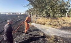 Sultandere'deki Anız Yangını Fabrikalara 200 Metre Kala Durduruldu