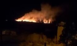 Eskişehir'de Tarım Arazisindeki Yangın Kontrol Altında