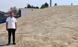 Beylikova’da Rekor Hasat: 755 Ton Hububat Üretildi