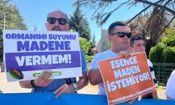 Esence Altın Madeni İçin ÇED Sürecine İtiraz Büyüyor