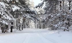 Türkiye'de En Sıcak Yer Eskişehir'deydi Peki En Soğuk Yeri Hangisi?