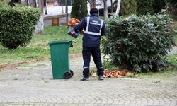 Söğüt Belediyesi’nden İlçe Genelinde Kapsamlı Temizlik