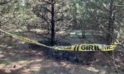 Eskişehir’de Kayıp Kadın Ormanlık Alanda Yanmış Halde Bulundu: 1 Kişi Tutuklandı