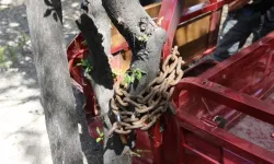 Ekmek Teknesinin Çalınması Sonrasında Güvenlik Önlemlerini Şiddetle Gözden Geçirdi!