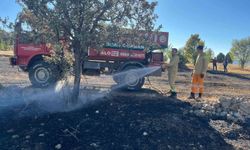 Kütahya Domaniç’te Anız Yangını Ormana Sıçramadan Söndürüldü