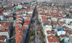 Hamamyolu’nda Yaya Güvenliği İçin Ağaçlar Budanacak