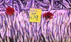 Eskişehir’de Balık Fiyatları Güncelleniyor