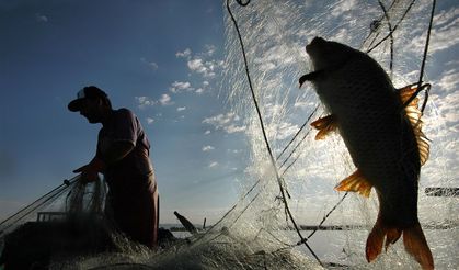 Av Yasağı Başladı: Eskişehir Balık Fiyatları Stabil